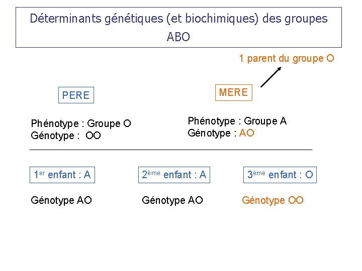 Déterminants génétiques (et biochimiques) des groupes ABO 1 parent du groupe O MERE Phénotype
