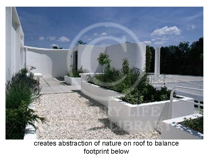 creates abstraction of nature on roof to balance footprint below 