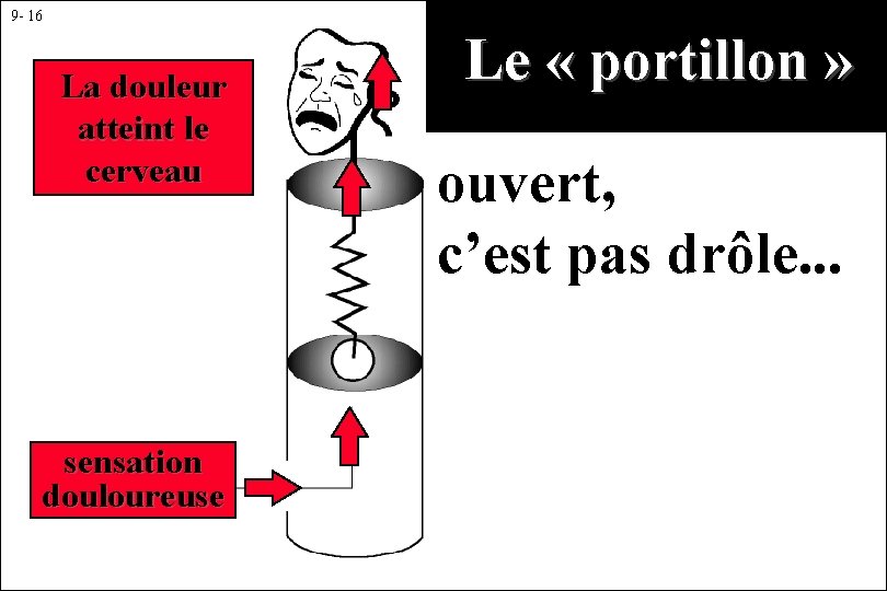 9 - 16 La douleur atteint le cerveau sensation douloureuse Le « portillon »