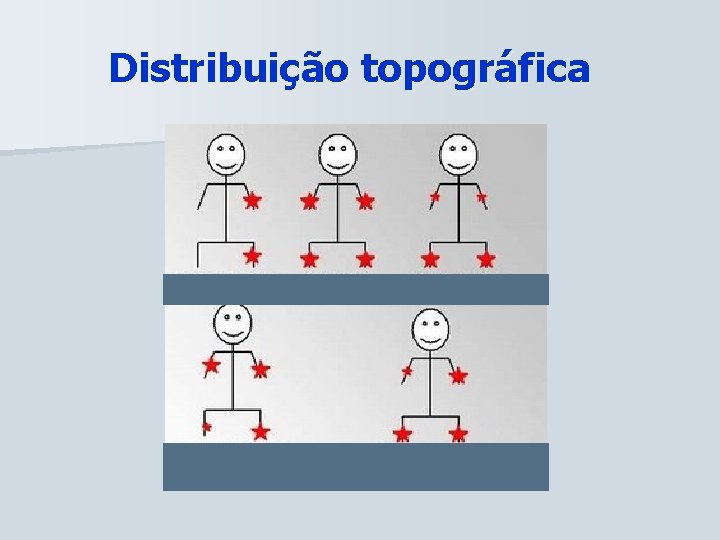 Distribuição topográfica 