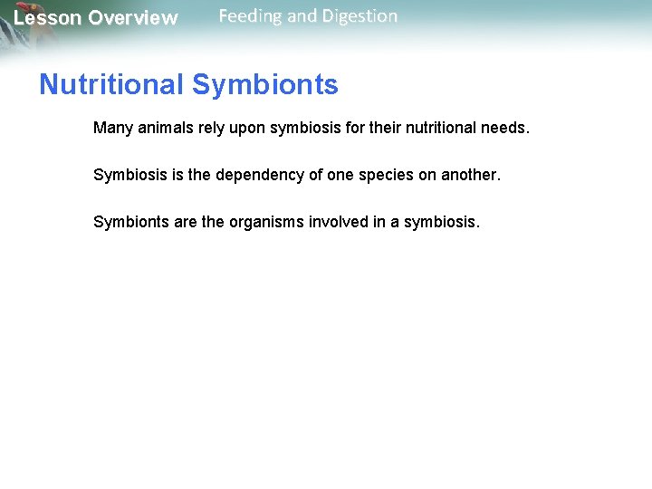 Lesson Overview Feeding and Digestion Nutritional Symbionts Many animals rely upon symbiosis for their