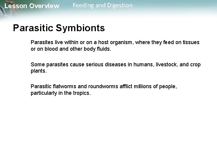 Lesson Overview Feeding and Digestion Parasitic Symbionts Parasites live within or on a host