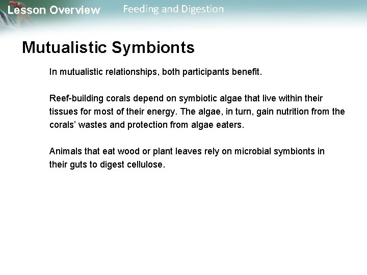 Lesson Overview Feeding and Digestion Mutualistic Symbionts In mutualistic relationships, both participants benefit. Reef-building