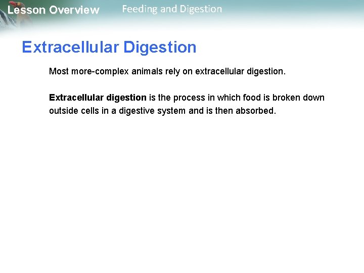 Lesson Overview Feeding and Digestion Extracellular Digestion Most more-complex animals rely on extracellular digestion.