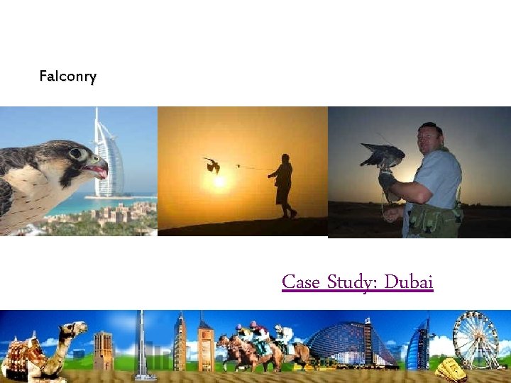 Falconry Case Study: Dubai 