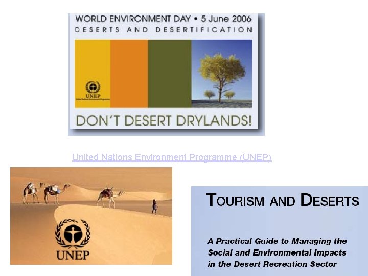  United Nations Environment Programme (UNEP) 