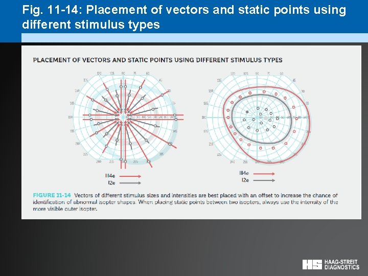 Fig. 11 -14: Placement of vectors and static points using different stimulus types 