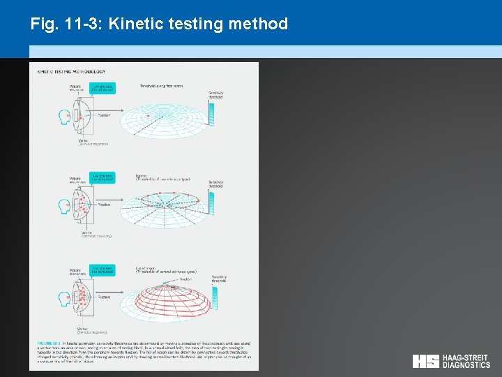 Fig. 11 -3: Kinetic testing method 