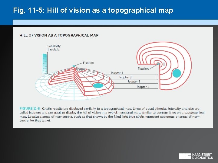 Fig. 11 -5: Hill of vision as a topographical map 