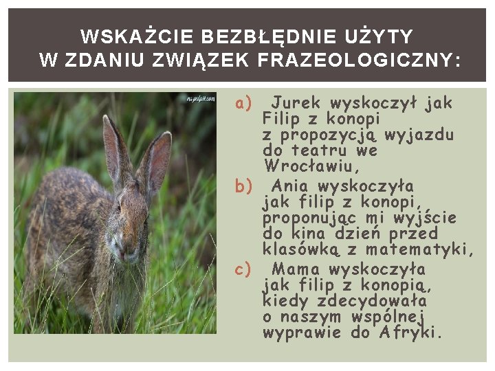 WSKAŻCIE BEZBŁĘDNIE UŻYTY W ZDANIU ZWIĄZEK FRAZEOLOGICZNY: a) Jurek wyskoczył jak Filip z konopi