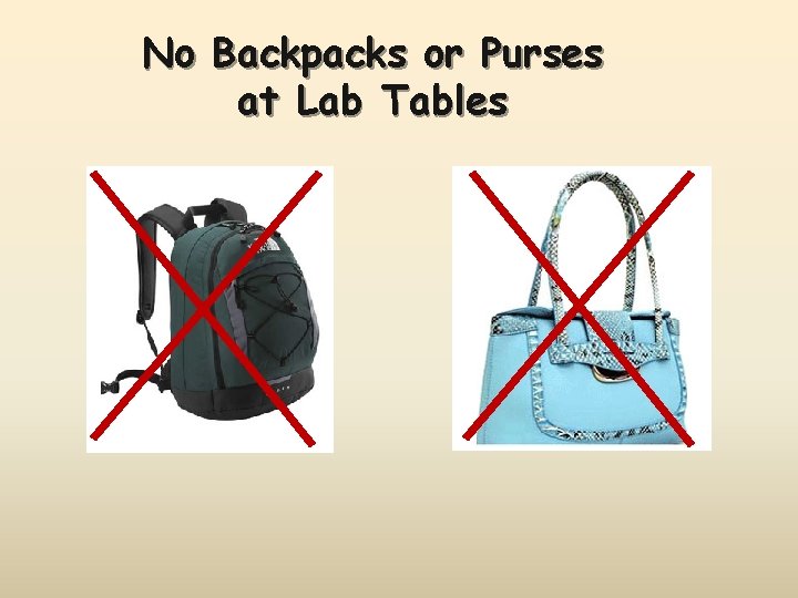 No Backpacks or Purses at Lab Tables 