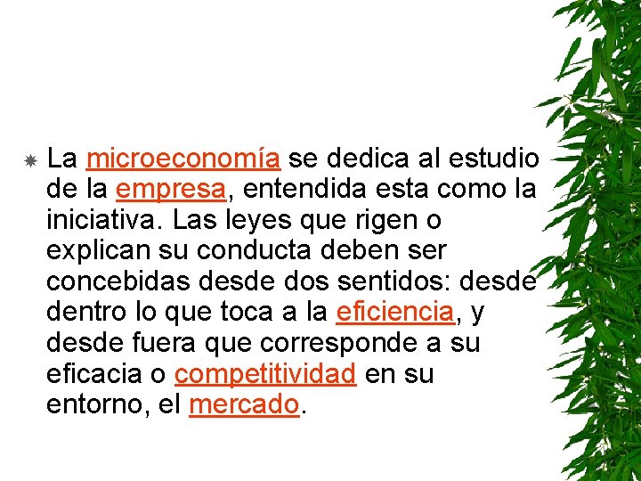  La microeconomía se dedica al estudio de la empresa, entendida esta como la