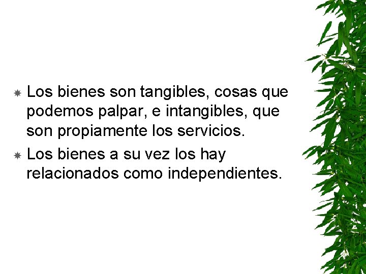 Los bienes son tangibles, cosas que podemos palpar, e intangibles, que son propiamente los