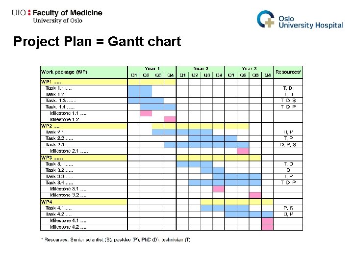 Project Plan = Gantt chart 