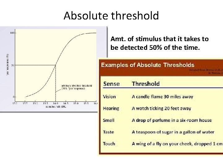 Absolute threshold Amt. of stimulus that it takes to be detected 50% of the