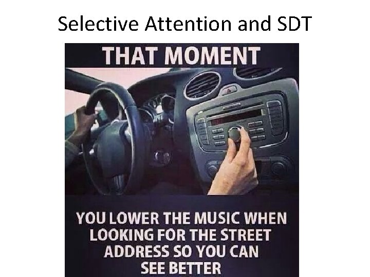 Selective Attention and SDT 