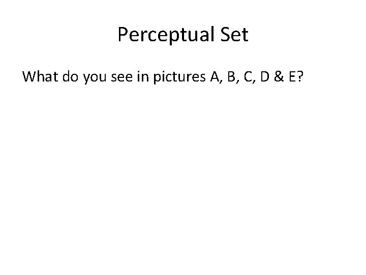 Perceptual Set What do you see in pictures A, B, C, D & E?
