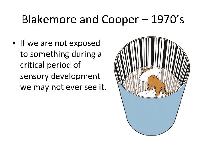 Blakemore and Cooper – 1970’s • If we are not exposed to something during