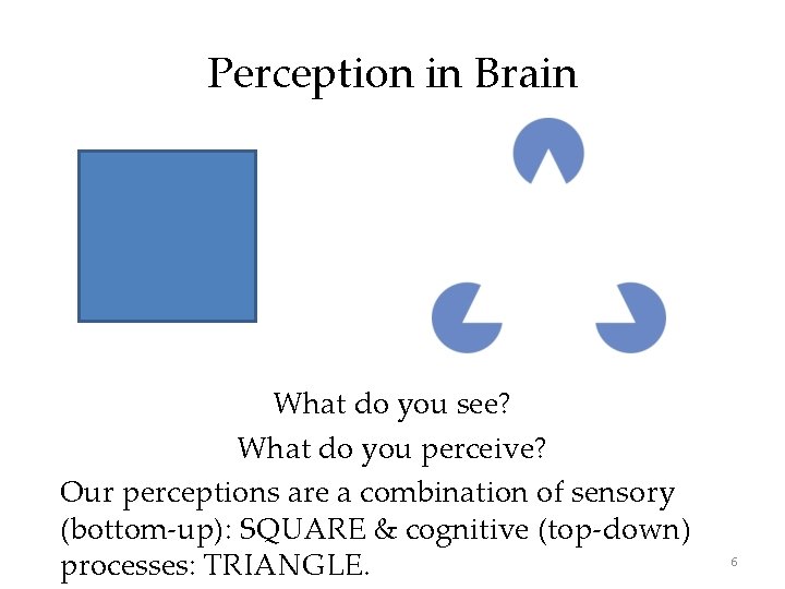 Perception in Brain What do you see? What do you perceive? Our perceptions are