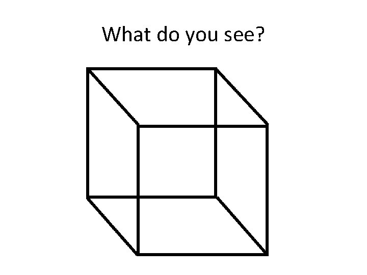 What do you see? 