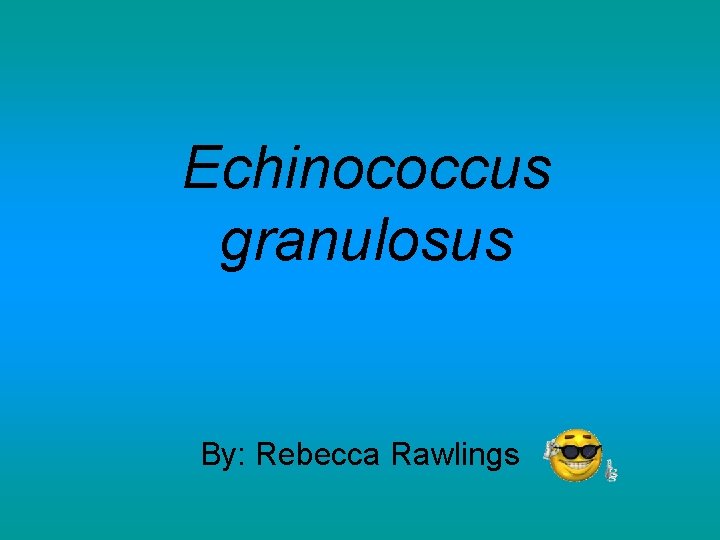 Echinococcus granulosus By: Rebecca Rawlings 