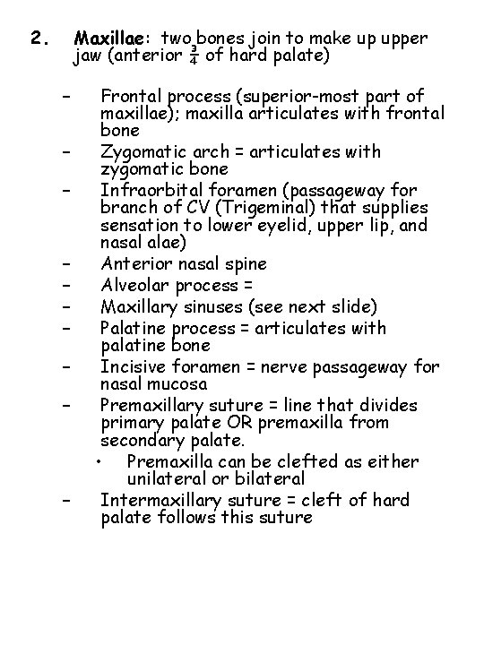 2. Maxillae: two bones join to make up upper jaw (anterior ¾ of hard