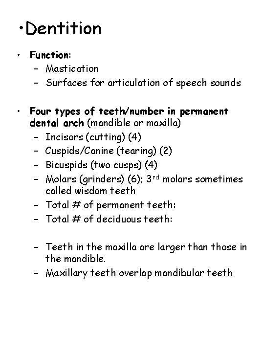  • Dentition • Function: – Mastication – Surfaces for articulation of speech sounds