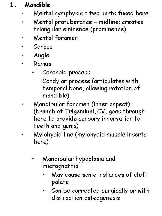 1. Mandible • Mental symphysis = two parts fused here • Mental protuberance =