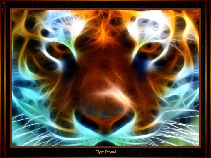 Tigre Fractal 