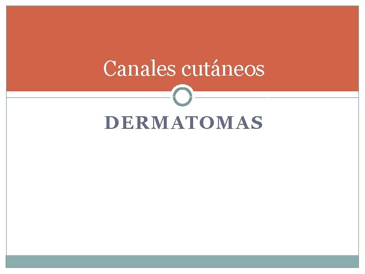 Canales cutáneos DERMATOMAS 