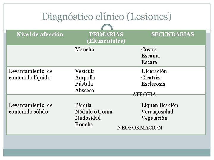 Diagnóstico clínico (Lesiones) Nivel de afección Levantamiento de contenido líquido Levantamiento de contenido sólido