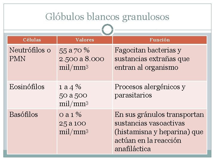 Glóbulos blancos granulosos Células Valores Función Neutrófilos o PMN 55 a 70 % 2.