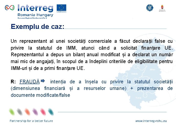 Exemplu de caz: Lorem ipsum dolor sit adipiscing elit. a făcut declarații false cu