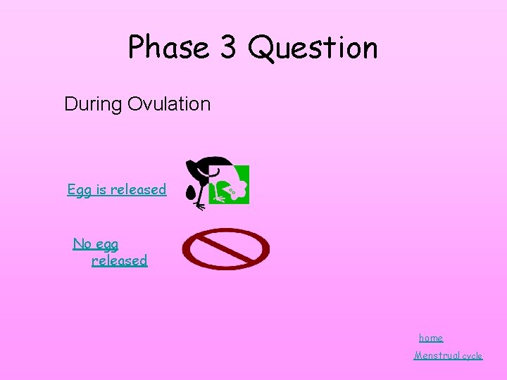 Phase 3 Question During Ovulation Egg is released No egg released home Menstrual cycle Phase 3 Question During Ovulation Egg is released No egg released home Menstrual cycle
