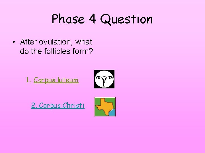 Phase 4 Question • After ovulation, what do the follicles form? 1. Corpus luteum Phase 4 Question • After ovulation, what do the follicles form? 1. Corpus luteum
