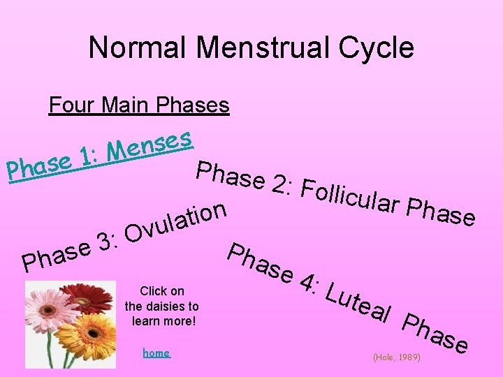 Normal Menstrual Cycle Four Main Phases Phase s n 1: Me Phase 2: Folli Normal Menstrual Cycle Four Main Phases Phase s n 1: Me Phase 2: Folli