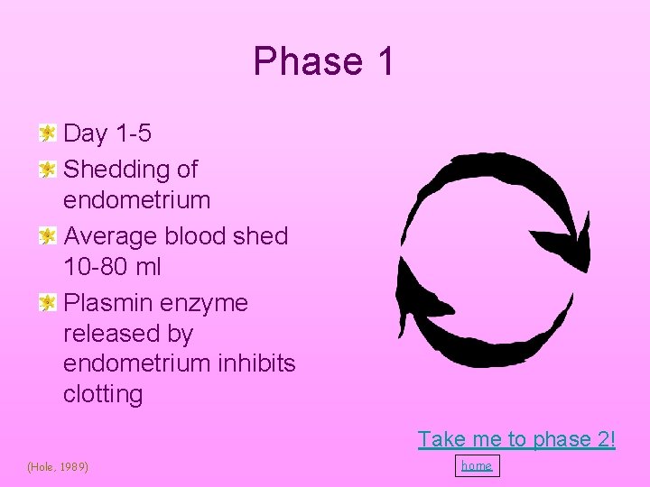Phase 1 Day 1 -5 Shedding of endometrium Average blood shed 10 -80 ml Phase 1 Day 1 -5 Shedding of endometrium Average blood shed 10 -80 ml