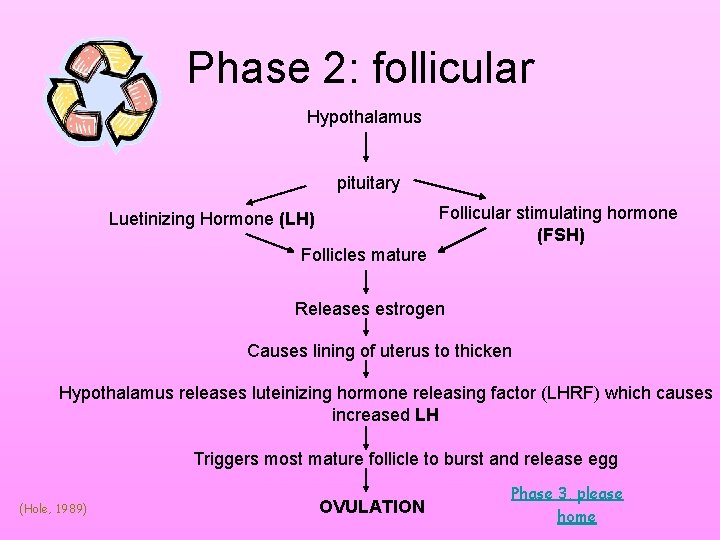 Phase 2: follicular Hypothalamus pituitary Follicular stimulating hormone (FSH) Luetinizing Hormone (LH) Follicles mature Phase 2: follicular Hypothalamus pituitary Follicular stimulating hormone (FSH) Luetinizing Hormone (LH) Follicles mature