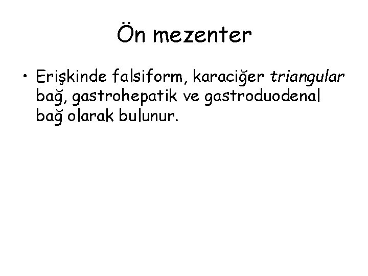 Ön mezenter • Erişkinde falsiform, karaciğer triangular bağ, gastrohepatik ve gastroduodenal bağ olarak bulunur.