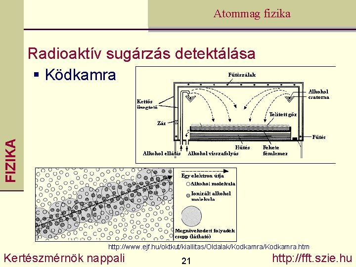 Atommag fizika FIZIKA Radioaktív sugárzás detektálása § Ködkamra http: //www. ejf. hu/oktkut/kiallitas/Oldalak/Kodkamra. htm Kertészmérnök