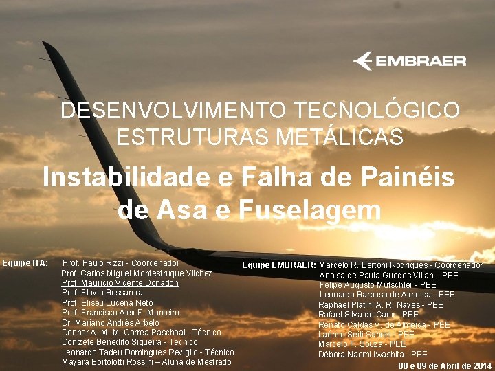 DESENVOLVIMENTO TECNOLÓGICO ESTRUTURAS METÁLICAS Instabilidade e Falha de Painéis de Asa e Fuselagem Equipe