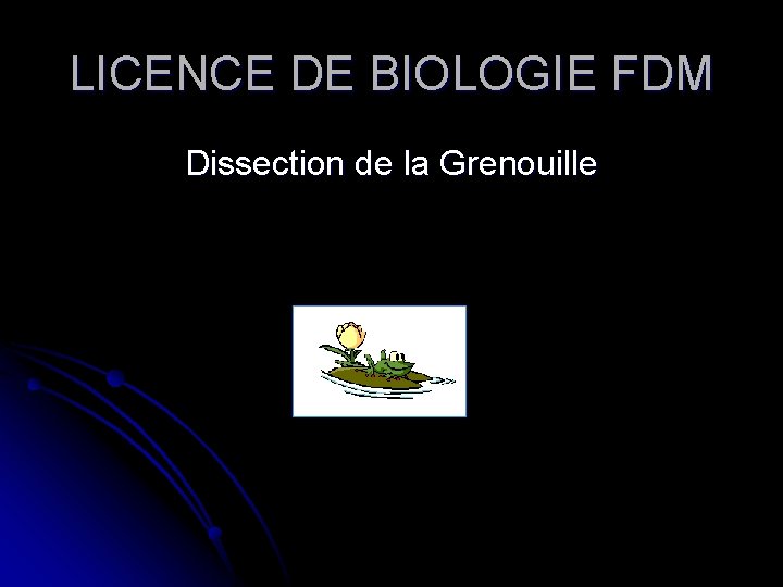 LICENCE DE BIOLOGIE FDM Dissection de la Grenouille 