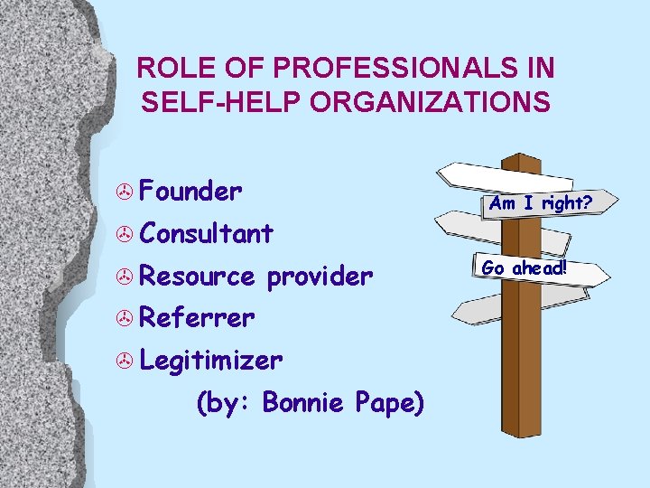 ROLE OF PROFESSIONALS IN SELF-HELP ORGANIZATIONS > Founder > Consultant > Resource provider >