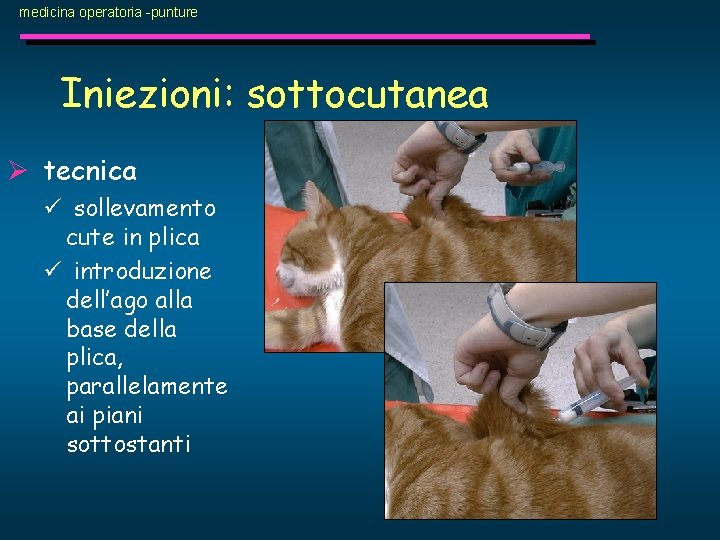 medicina operatoria -punture Iniezioni: sottocutanea Ø tecnica ü sollevamento cute in plica ü introduzione