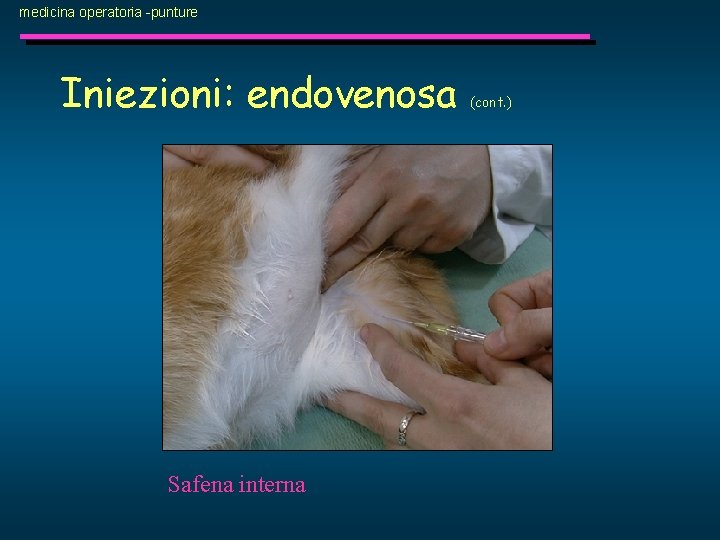 medicina operatoria -punture Iniezioni: endovenosa Safena interna (cont. ) 