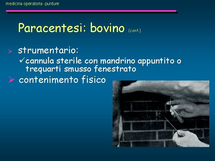 medicina operatoria -punture Paracentesi: bovino Ø strumentario: (cont. ) ücannula sterile con mandrino appuntito