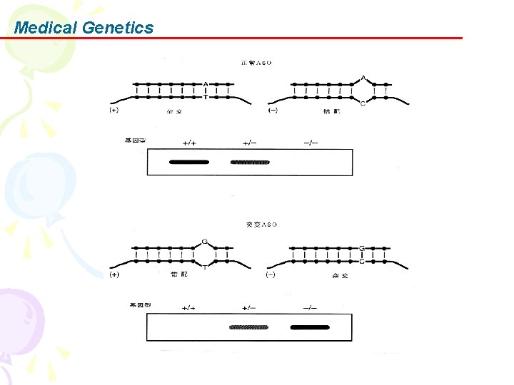 Medical Genetics 