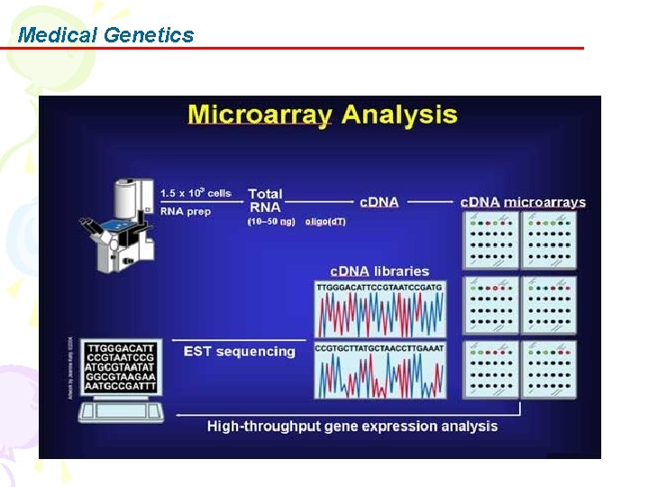 Medical Genetics Medical Genetics