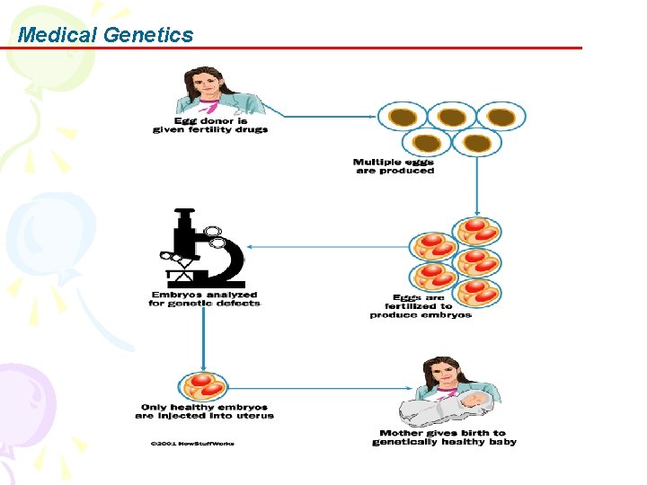 Medical Genetics 