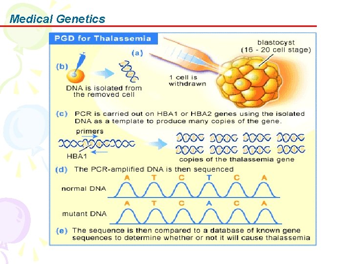 Medical Genetics 